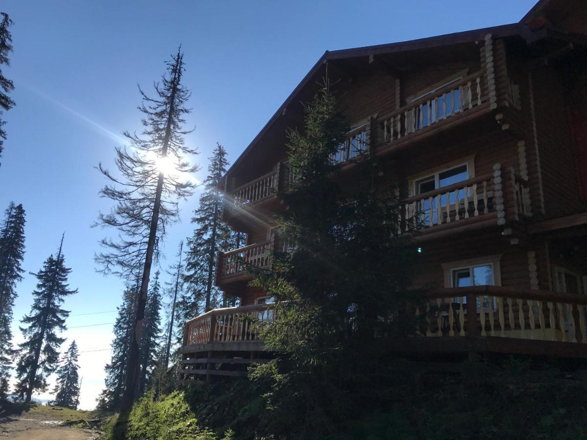 Alpin Eco Chalet & Wellness دراغوبرات المظهر الخارجي الصورة