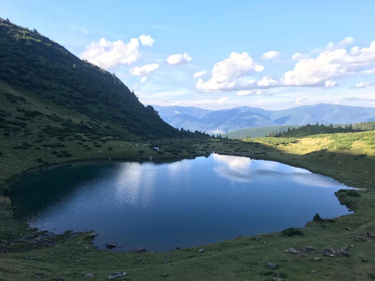 Alpin Eco Chalet & Wellness دراغوبرات المظهر الخارجي الصورة