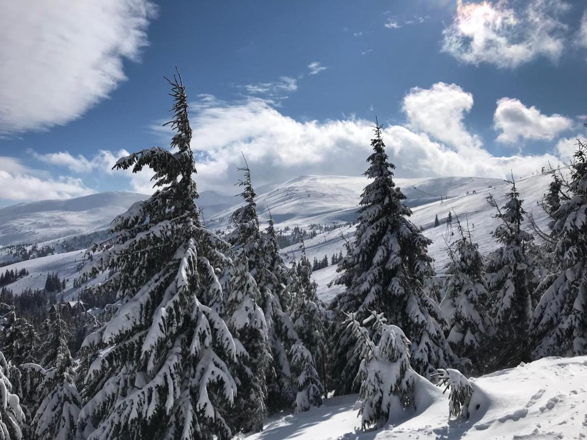 Alpin Eco Chalet & Wellness دراغوبرات المظهر الخارجي الصورة